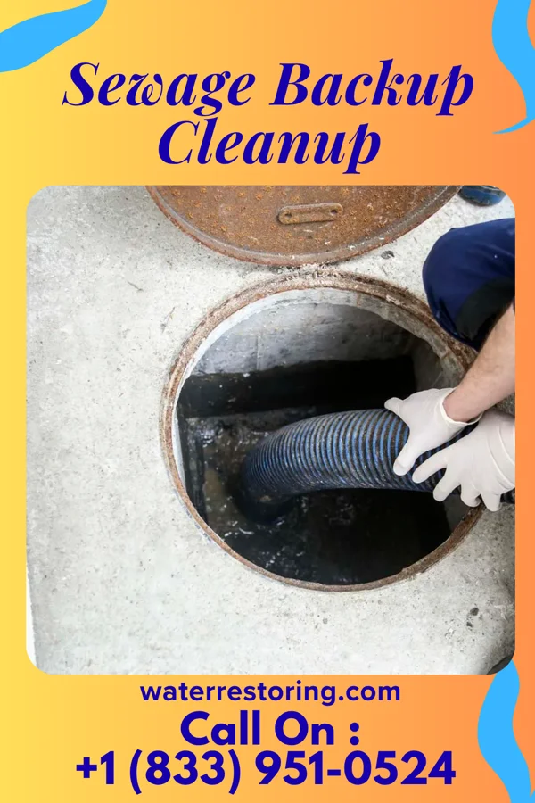 Sewage Backup Cleanup in Belview, MN